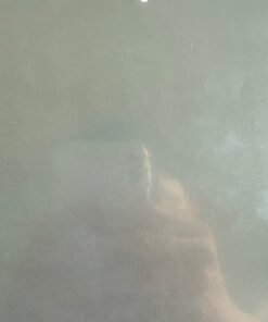 Màu Sơn Tĩnh Điện A. 38 1 780x780 1